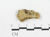 登錄號:F0019119藏品圖，第1張