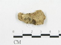 登錄號:F0019119藏品圖，第3張