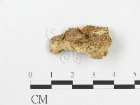 登錄號:F0019119藏品圖，第4張