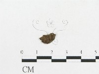 登錄號:F0019119藏品圖，第5張