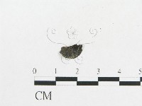 登錄號:F0019119藏品圖，第6張