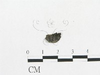 登錄號:F0019119藏品圖，第7張