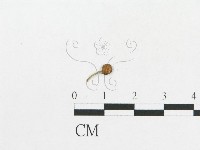 登錄號:F0019119藏品圖，第10張