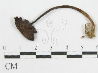 登錄號:F0019122藏品圖，第4張