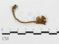 登錄號:F0019123藏品圖，第3張