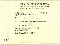 小菇屬藏品圖，第2張