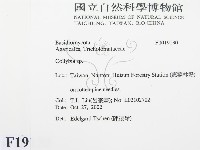 登錄號:F0019130藏品圖，第2張