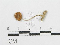 登錄號:F0019130藏品圖，第1張