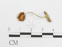 登錄號:F0019130藏品圖，第3張