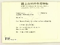 小菇屬藏品圖，第2張