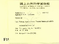 小菇屬藏品圖，第2張