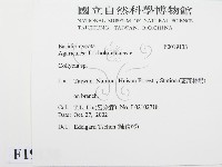 登錄號:F0019138藏品圖，第2張