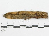 登錄號:F0019138藏品圖，第1張