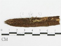 登錄號:F0019138藏品圖，第3張