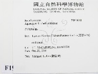 登錄號:F0019141藏品圖，第2張