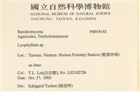 登錄號:F0019142藏品圖，第2張