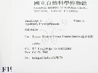 館號:F0019144藏品圖，第2張