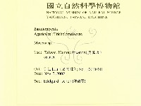 小菇屬藏品圖，第2張