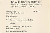 登錄號:F0019147藏品圖，第2張