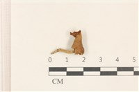 登錄號:F0019147藏品圖，第1張