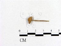 小菇屬藏品圖，第3張