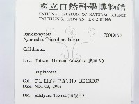 登錄號:F0019150藏品圖，第2張