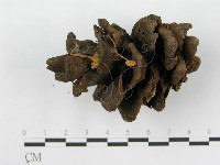 登錄號:F0019150藏品圖，第3張