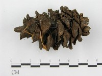 登錄號:F0019150藏品圖，第4張