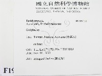 登錄號:F0019151藏品圖，第2張