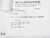 登錄號:F0019153藏品圖，第3張