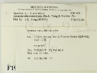 登錄號:F0019154藏品圖，第2張