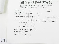 登錄號:F0019154藏品圖，第3張