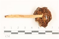 登錄號:F0019157藏品圖，第3張