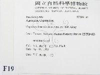 登錄號:F0019159藏品圖，第2張