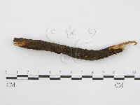 登錄號:F0019159藏品圖，第3張