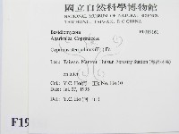 登錄號:F0019161藏品圖，第2張