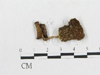 登錄號:F0019163藏品圖，第3張