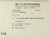 登錄號:F0019164藏品圖，第2張
