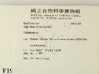 登錄號:F0019165藏品圖，第2張