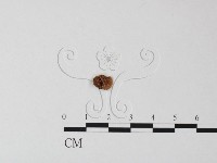 登錄號:F0019165藏品圖，第1張