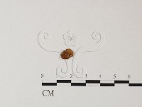 登錄號:F0019165藏品圖，第3張