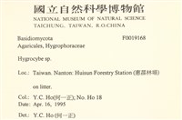 濕傘屬藏品圖，第2張