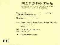 小菇屬藏品圖，第2張
