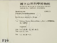 登錄號:F0019171藏品圖，第2張