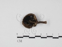 登錄號:F0019171藏品圖，第3張