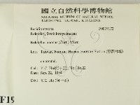 登錄號:F0019172藏品圖，第2張