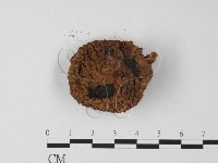 登錄號:F0019172藏品圖，第3張