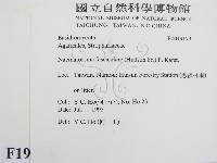 登錄號:F0019173藏品圖，第2張