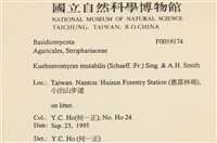 登錄號:F0019174藏品圖，第2張