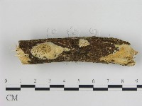登錄號:F0019175藏品圖，第1張